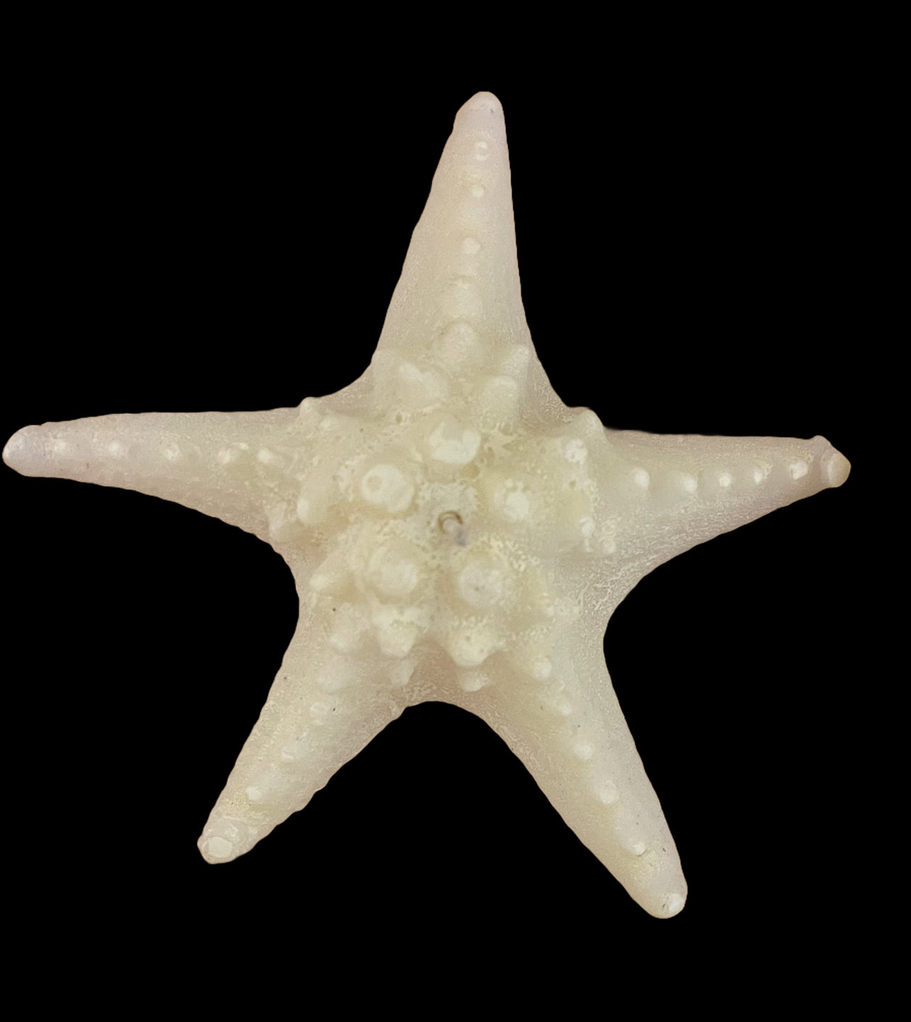 STARFISH CANDLE - OCEANS ELEGANCE