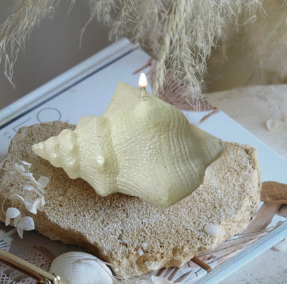 SHELL CANDLE - COASTAL CHARM