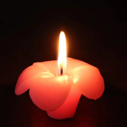 THE FLOWER CANDLE - BLOOMING WITH LIGHT